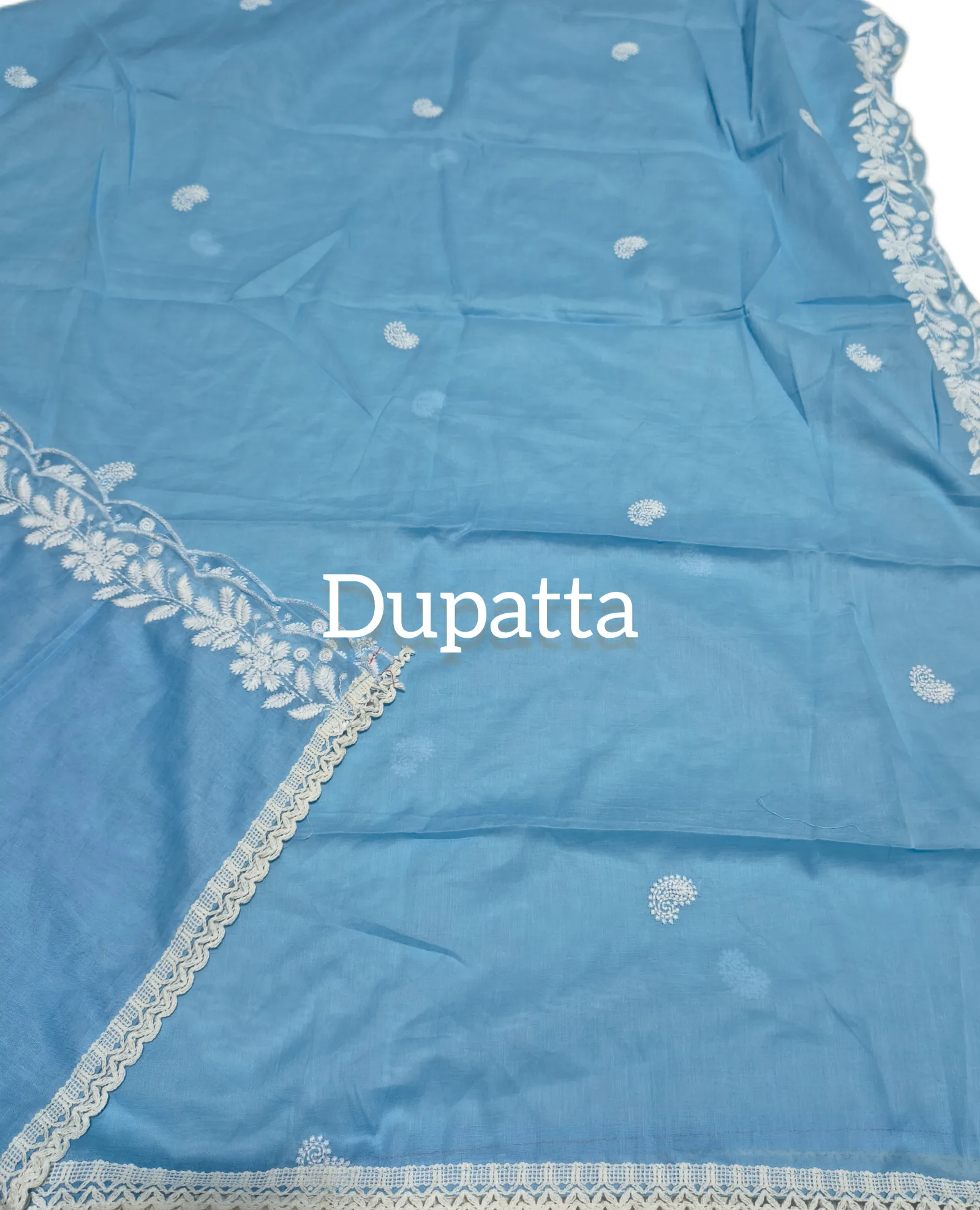 Chikankari Work Suit view 4