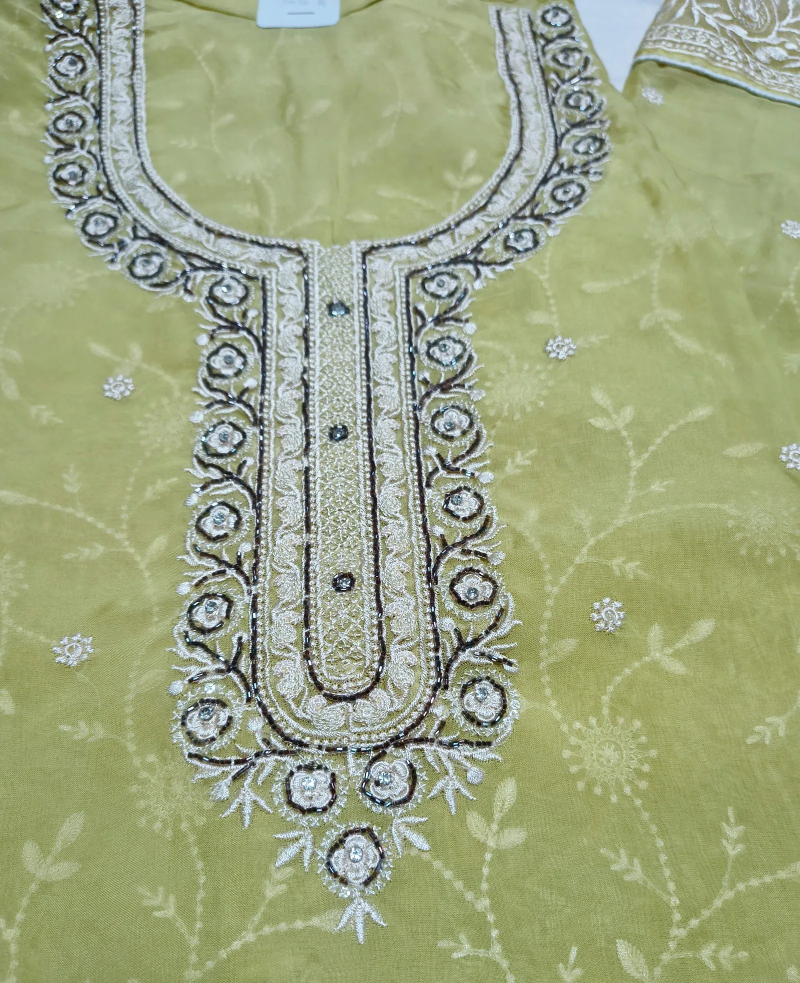 Organza embroidered Suit view 2