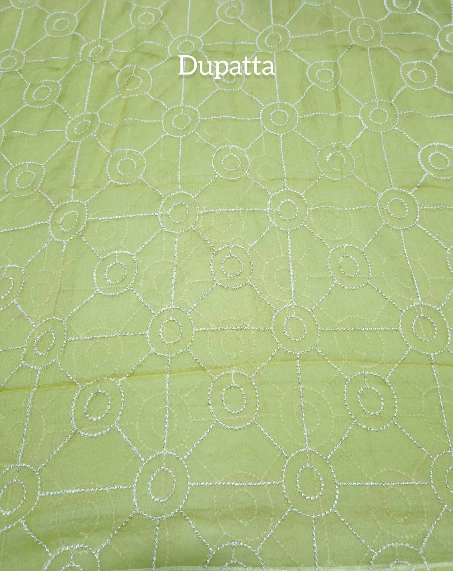Organza embroidered Suit view 3